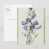 15:Campanula: Middelgroot 1787 Briefkaart (Voorkant / Achterkant)