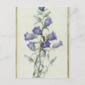15:Campanula: Middelgroot 1787 Briefkaart (Voorkant)
