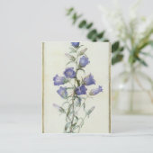 15:Campanula: Middelgroot 1787 Briefkaart (Staand voorkant)