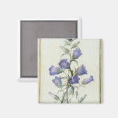 15:Campanula: Middelgroot 1787 Magneet (Voorkant / Achterkant)