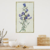 15:Campanula: Middelgroot 1787 Poster (Keuken)
