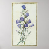 15:Campanula: Middelgroot 1787 Poster (Voorkant)
