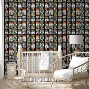15 Fotocollage Sjabloon Aangepaste wallpaper Behang