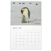 15-Maand Pinguïn Kalender met Beschrijvingen 2025- (Feb 2023)