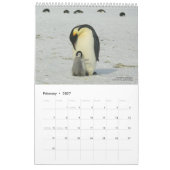 15-Maand Pinguïn Kalender met Beschrijvingen 2025 (Feb 2027)
