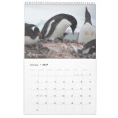 15-Maand Pinguïn Kalender met Beschrijvingen 2025 (Jan 2027)