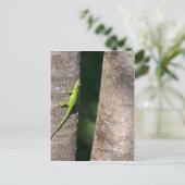 15 minuten.JPG Briefkaart (Staand voorkant)