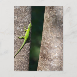 15 minuten.JPG Briefkaart