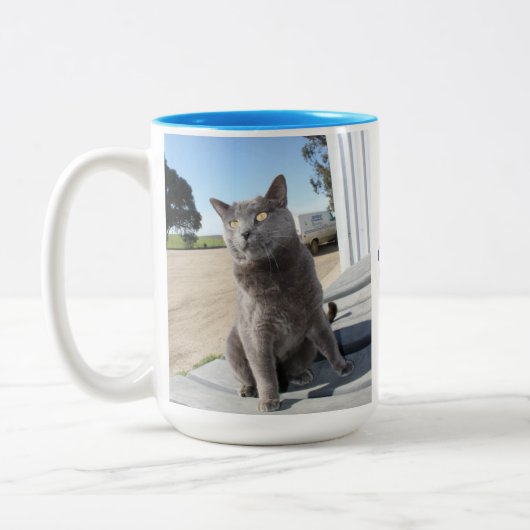 15 oz. Kat-Mok Tweekleurige Koffiemok (Links)