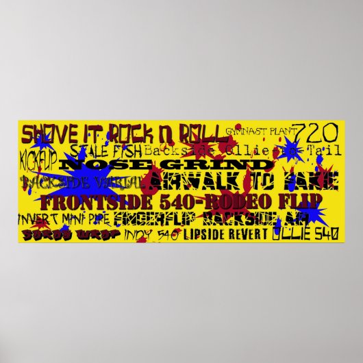 15.Populaire Skateboard Trick-namen Poster (Voorkant)