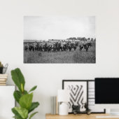 15e Amerikaanse Cavalry Band, begin jaren '00 Poster (Thuiskantoor)