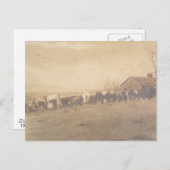 15e PA Cavalry 1865 Briefkaart (Voorkant / Achterkant)