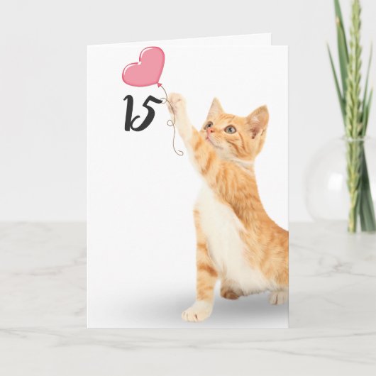 15e verjaardag tabby kat kaart (Voorkant)