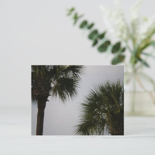 160 lpn briefkaart (Staand voorkant)