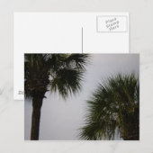 160 lpn briefkaart (Voorkant / Achterkant)