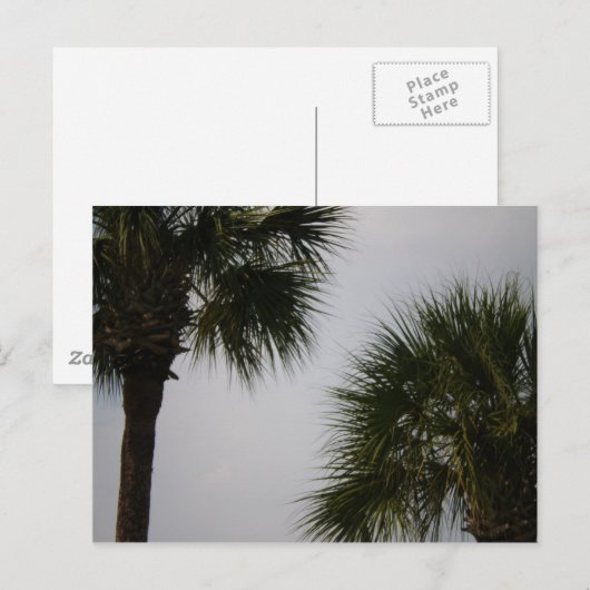 160 lpn briefkaart (Voorkant / Achterkant)