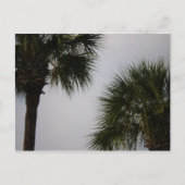 160 lpn briefkaart (Voorkant)