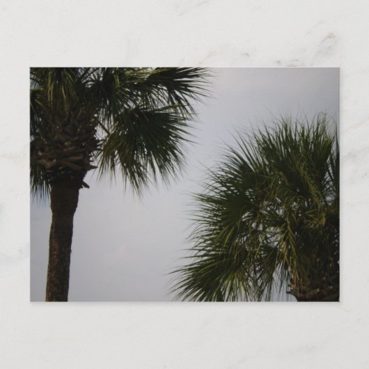 160 lpn briefkaart (Voorkant)