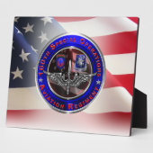 160e bijzondere luchtvaartactiviteit "NIGHTSTALKER Fotoplaat (Zijkant)