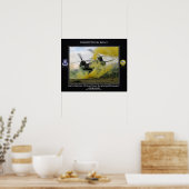 160e speciale luchtvaartregeling voor vluchtuitvoe poster (Keuken)