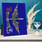 160th Special Operations Aviation NIGHT STALKERS Fotoplaat (Zijkant)