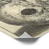 1616 Skulls Anatomy Print (Hoek)