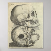 1616  Skulls Anatomy Print (Voorkant)