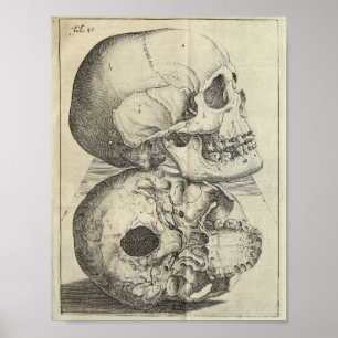 1616  Skulls Anatomy Print