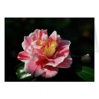 167 - Gepersonaliseerd