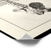 1691 Kunstmatige anatomie skeletspiering - Kunst a Poster (Hoek)