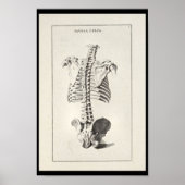 1691 Kunstmatige anatomie skeletspiering - Kunst a Poster (Voorkant)