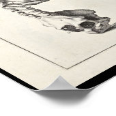 1691 Kunstmatige anatomie skeletspiering - Kunst a Poster (Hoek)