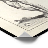 1691 Kunstmatige anatomiespieren Kunst Afdrukken Poster (Hoek)