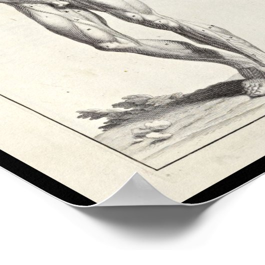 1691 Kunstmatige anatomiespieren Kunst Afdrukken Poster (Hoek)