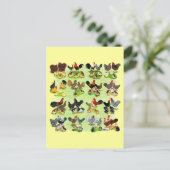 16 de Families van de kip Briefkaart (Staand voorkant)
