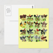 16 de Families van de kip Briefkaart (Voorkant / Achterkant)