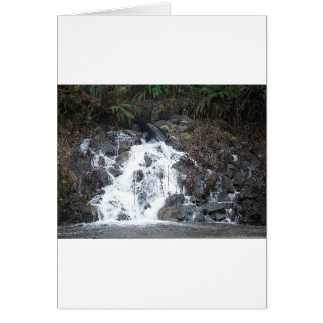 16 januari 170 (Voorkant)