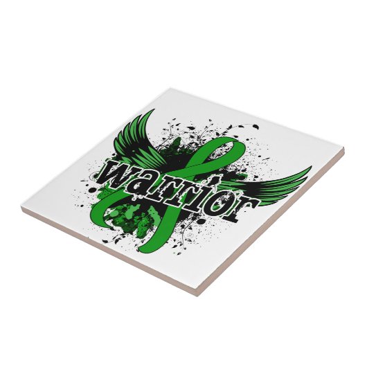 16 Nierziekte Tegeltje (Zijkant)