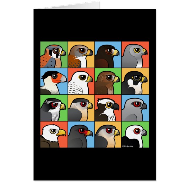 16 Noord-Amerikaanse Raptorprofielen (Voorkant)