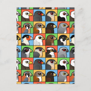 16 Noord-Amerikaanse Raptorprofielen (betegeld) Briefkaart