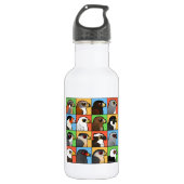 16 Noord-Amerikaanse Raptorprofielen Waterfles (Voorkant)