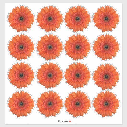 16 Oranje Gerbera Daisy Flower Kiss-Cut Stickers (Vel)
