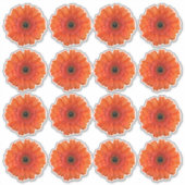 16 Oranje Gerbera Daisy Flower Kiss-Cut Stickers (Voorkant)