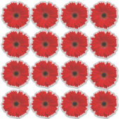 16 Rode Gerbera Madeliefjes Flower Kiss-Cut Sticke Sticker (Voorkant)