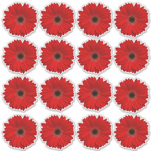 16 Rode Gerbera Margriet Bloem Kiss-Cut Stickers (Voorkant)