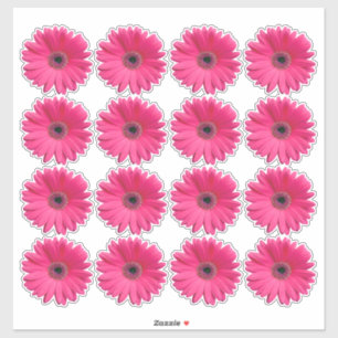 16 Roze Gerbera Daisy Bloem Kiss-Cut Stickers