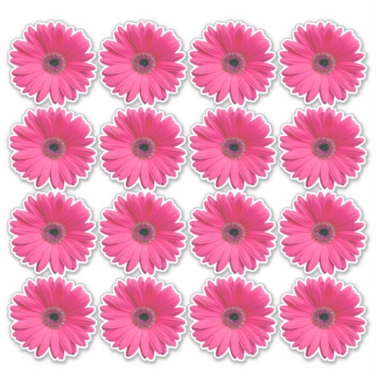 16 Roze Gerbera Daisy Bloem Kiss-Cut Stickers (Voorkant)