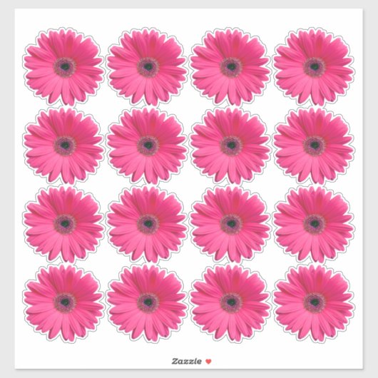 16 Roze Gerbera Madelief Bloem Kiss-Cut Stickers (Vel)