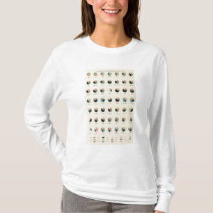 16 Samenstelling buitenlanders, geboren in 1890 T-shirt