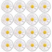 16 Shasta Madelief Bloem Kiss-Cut Stickers (Voorkant)